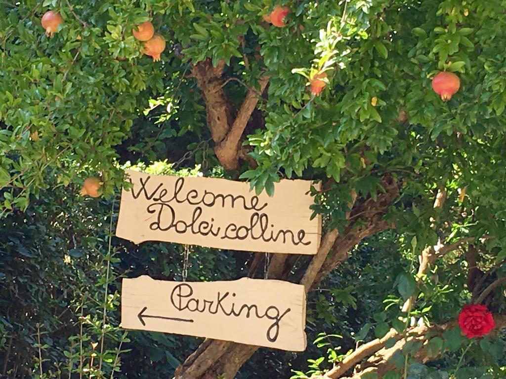 הוילה קסטיליון פיורנטינו Borgo Dolci Colline מראה חיצוני תמונה